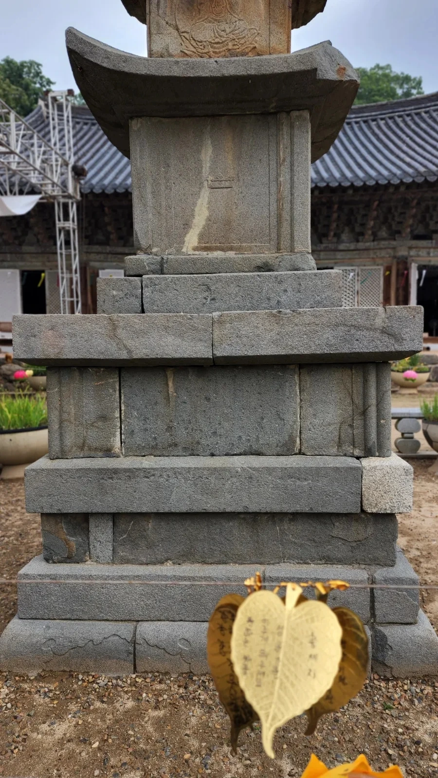 20220625%EF%BC%BF091302.jpg?type=w1