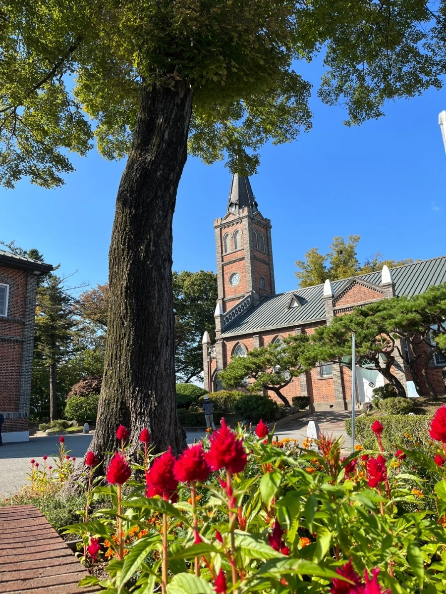 1665583834119.jpg?type=w1