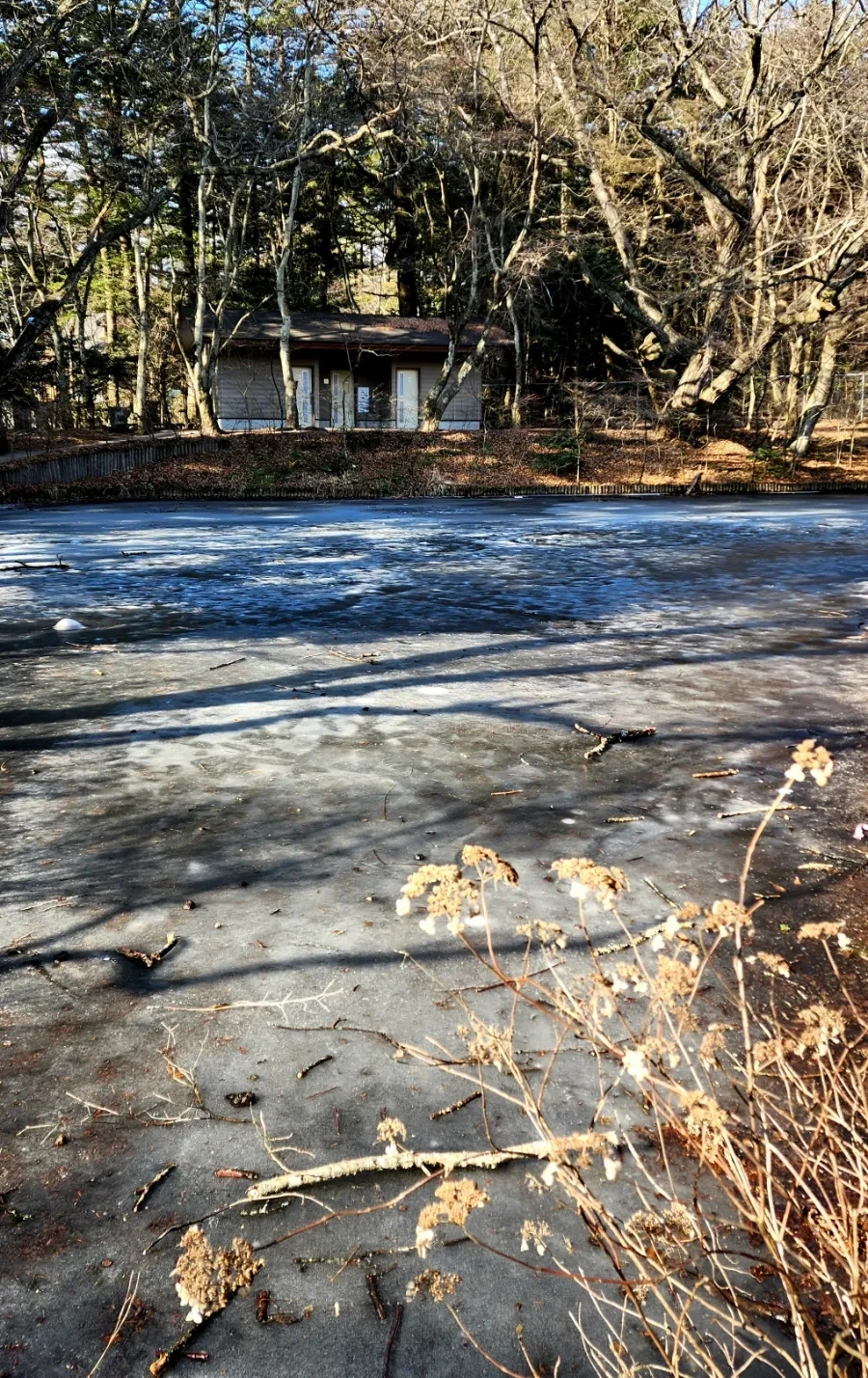 20230208%EF%BC%BF093751.jpg?type=w1