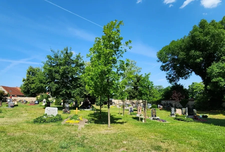 20230626%EF%BC%BF105849.jpg?type=w1