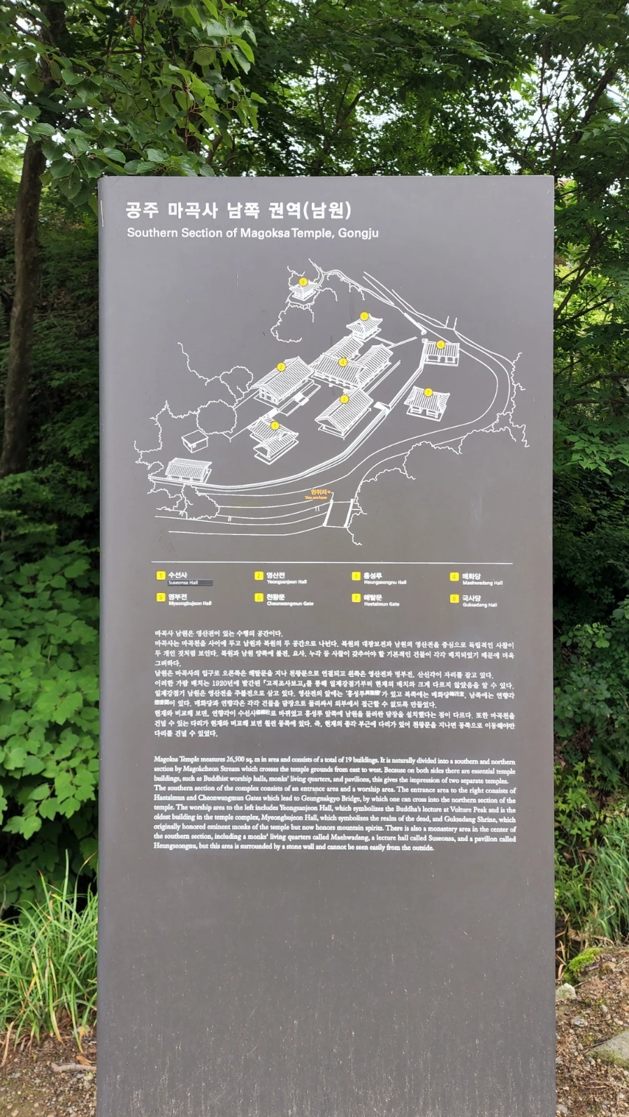 20220625%EF%BC%BF085723.jpg?type=w1