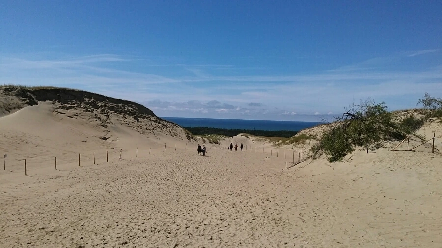 20160709_141804.jpg?type=w1