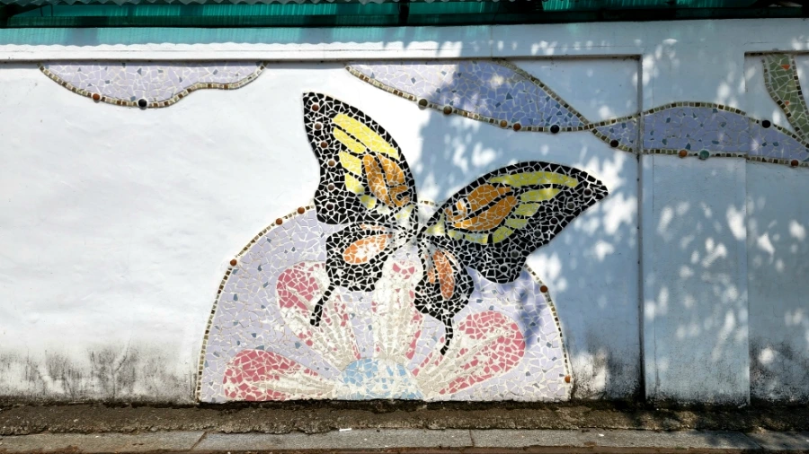 20220621%EF%BC%BF151757.jpg?type=w1