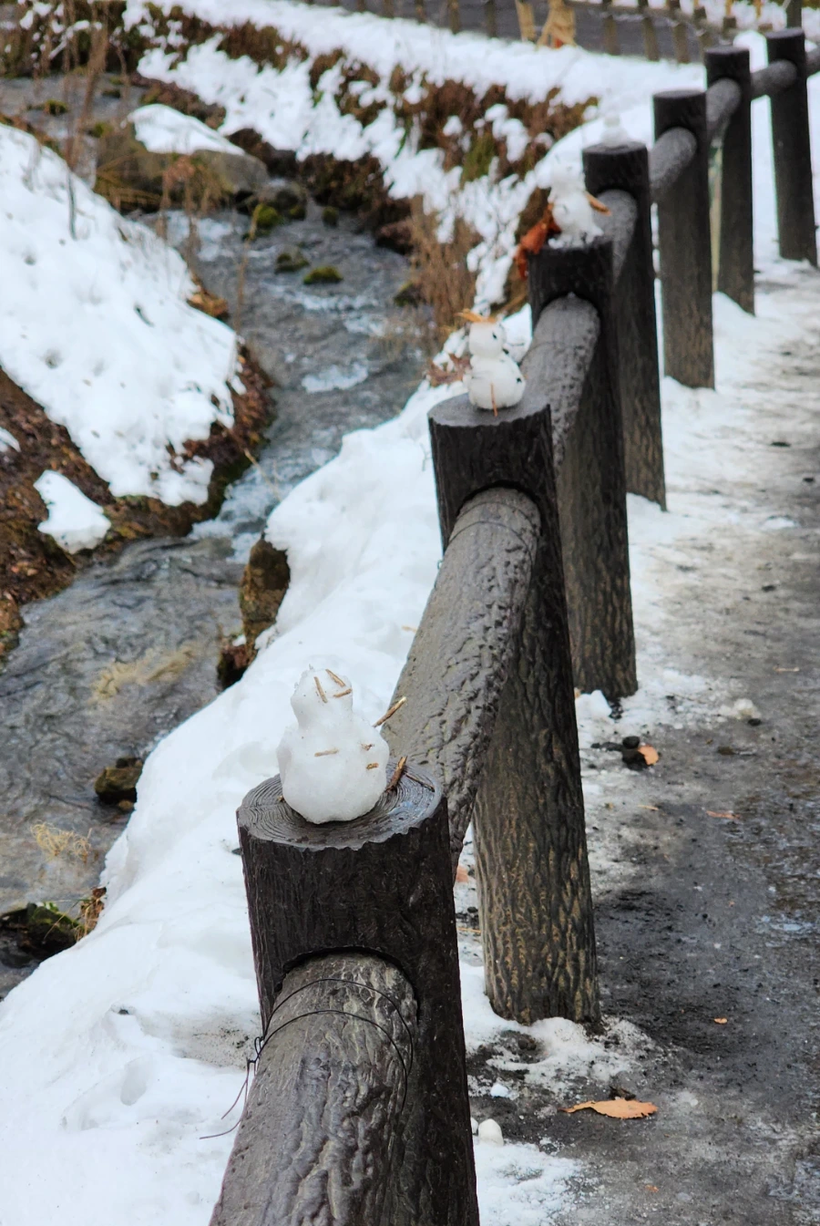 20230208%EF%BC%BF141925.jpg?type=w1