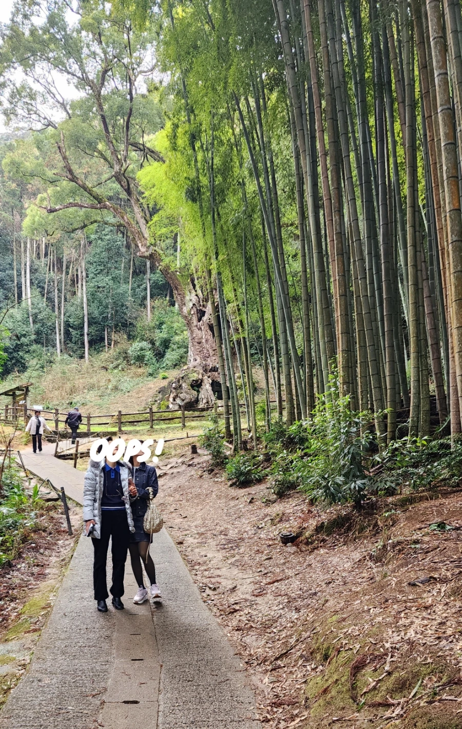 20240202%EF%BC%BF135036.jpg?type=w1