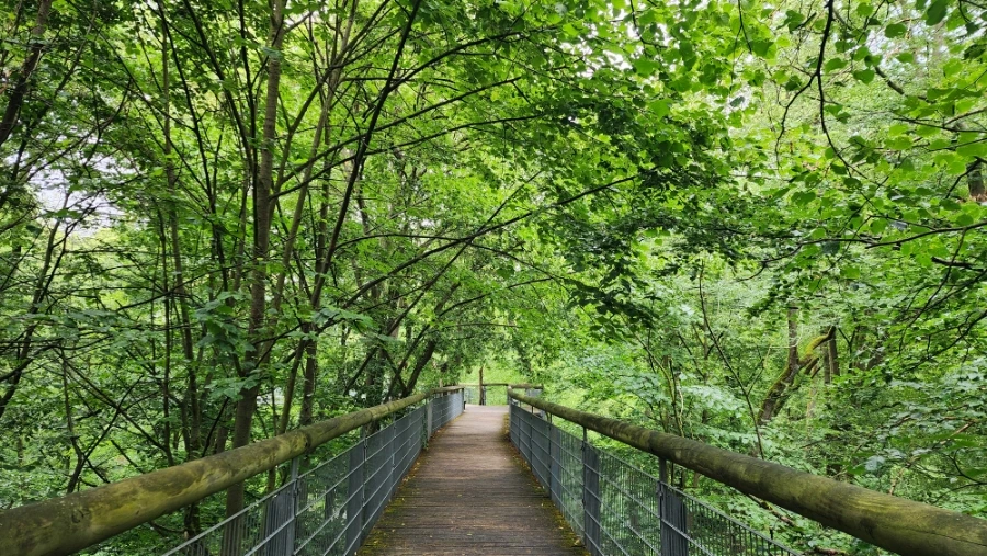 20230630%EF%BC%BF173832.jpg?type=w1