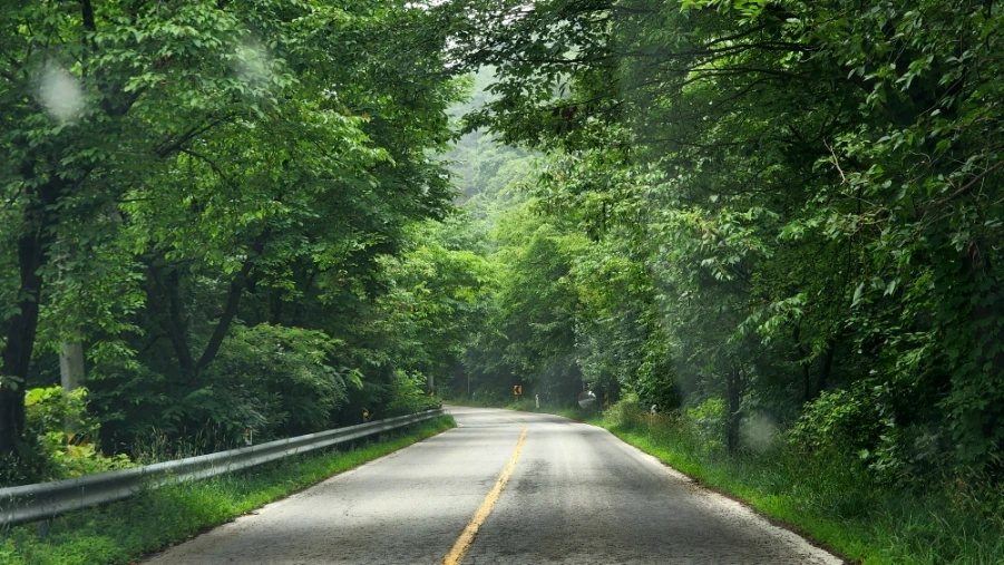 20220625%EF%BC%BF083803.jpg?type=w1