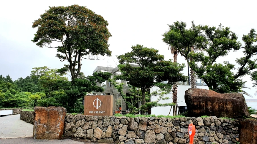 20210706_101344.jpg?type=w1