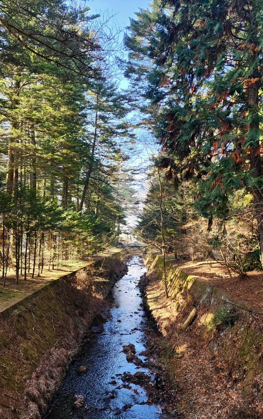 20230208%EF%BC%BF091345.jpg?type=w1