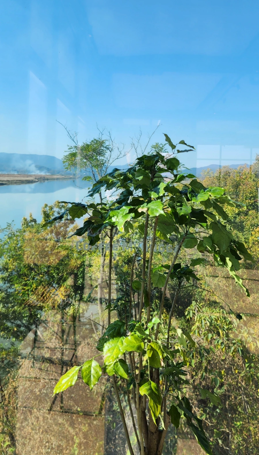 20231031%EF%BC%BF140345.jpg?type=w1