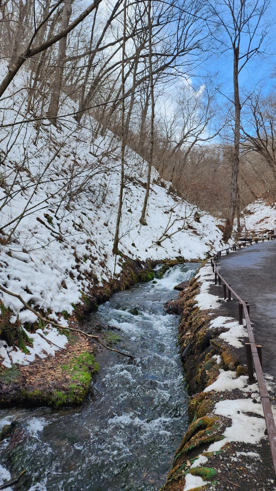 20230208%EF%BC%BF140731.jpg?type=w1