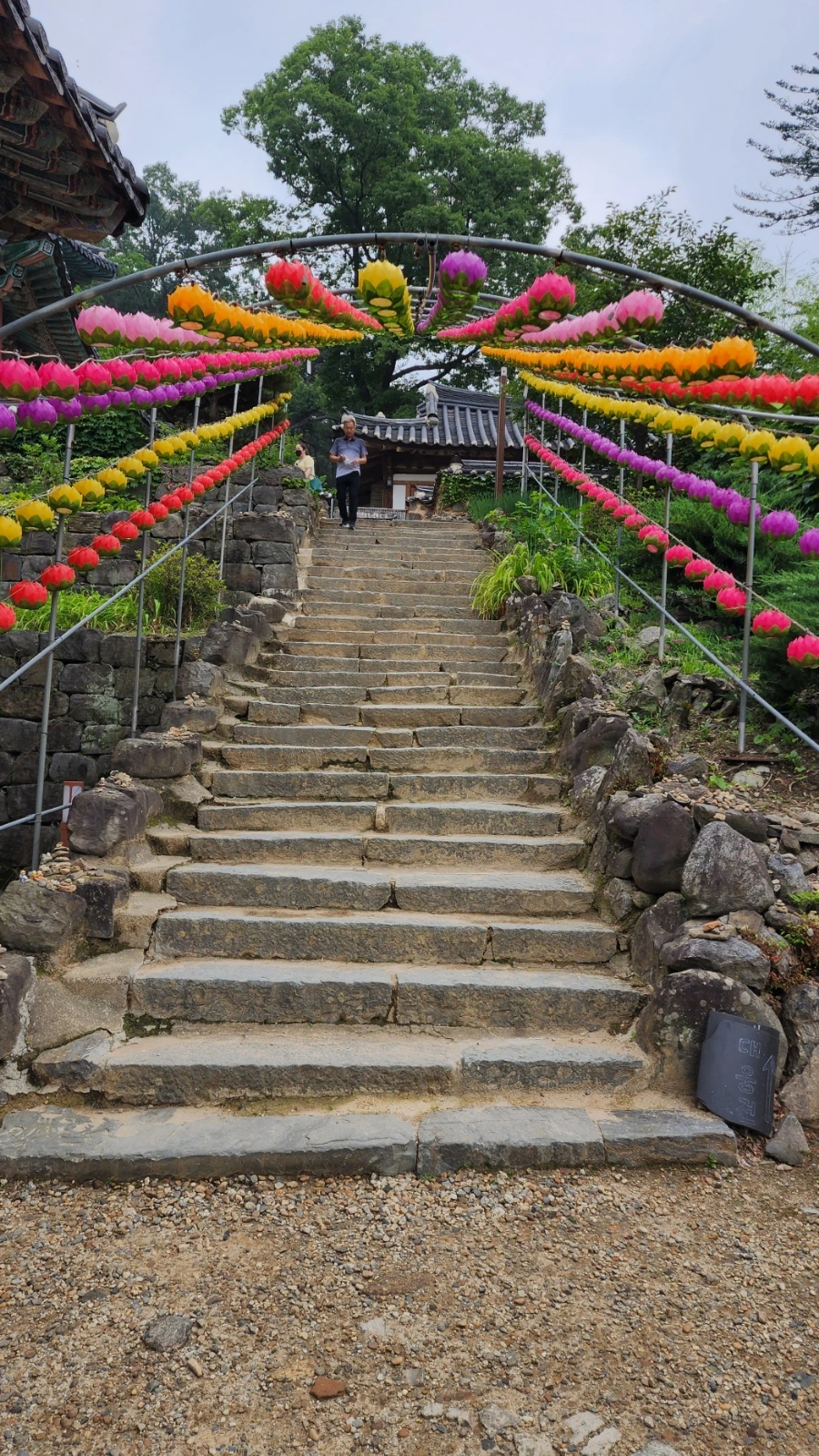 20220625%EF%BC%BF091911.jpg?type=w1