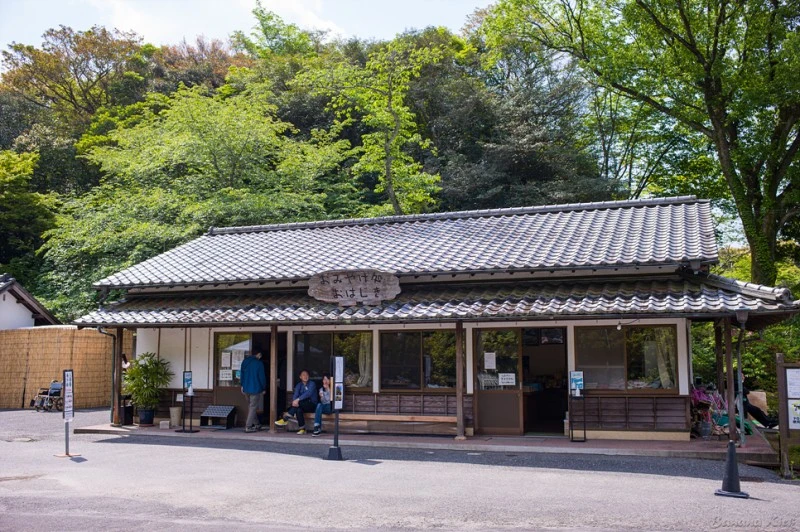 L1008557.jpg?type=w1