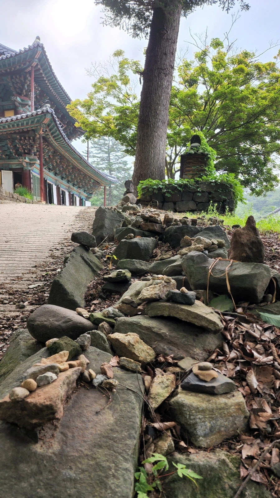 20220625%EF%BC%BF092547.jpg?type=w1