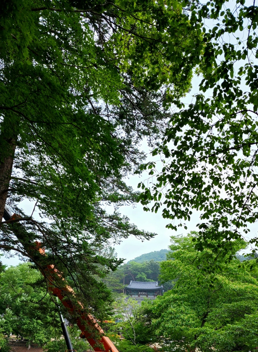 20220625%EF%BC%BF094408.jpg?type=w1