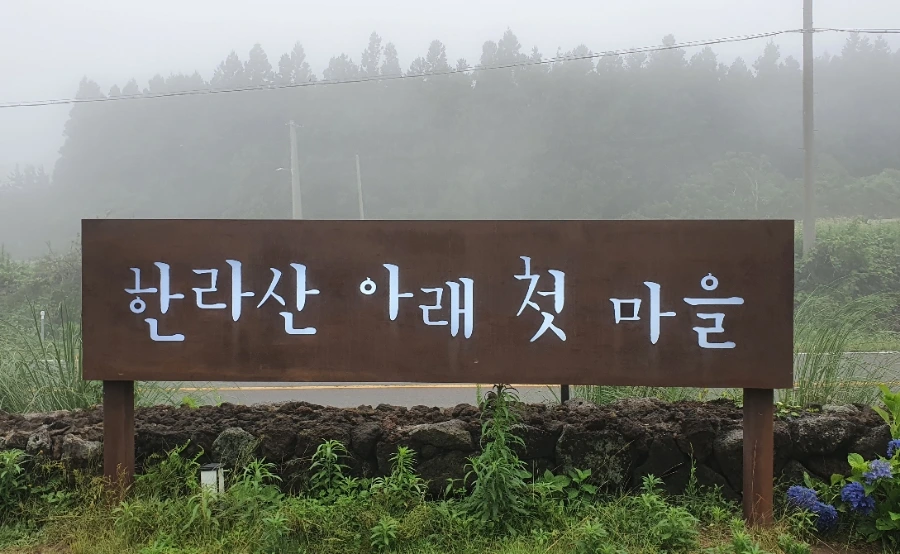 20210706_152534.jpg?type=w1