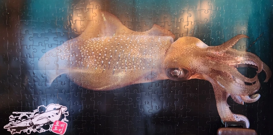 20240429%EF%BC%BF164415.jpg?type=w1