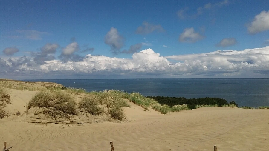 20160709_141745.jpg?type=w1