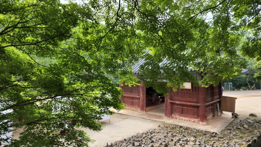 20220625%EF%BC%BF094505.jpg?type=w1