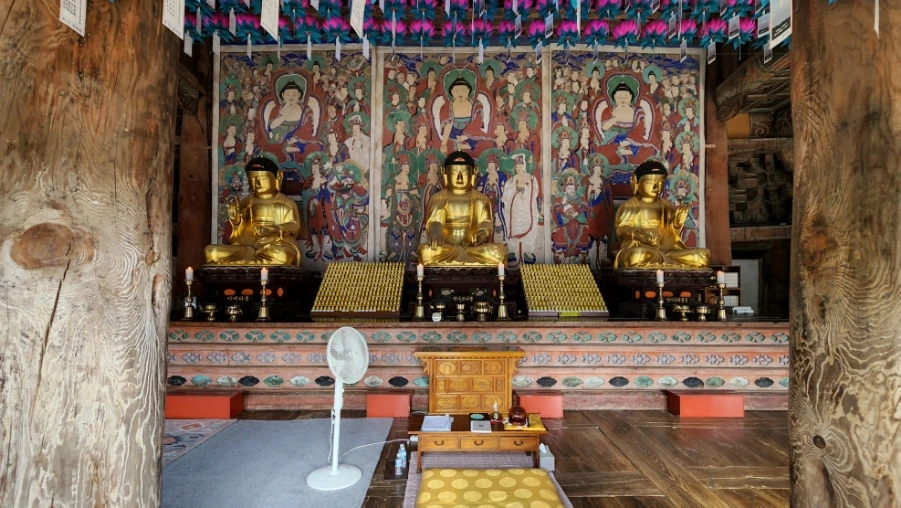 20220625%EF%BC%BF092247.jpg?type=w1