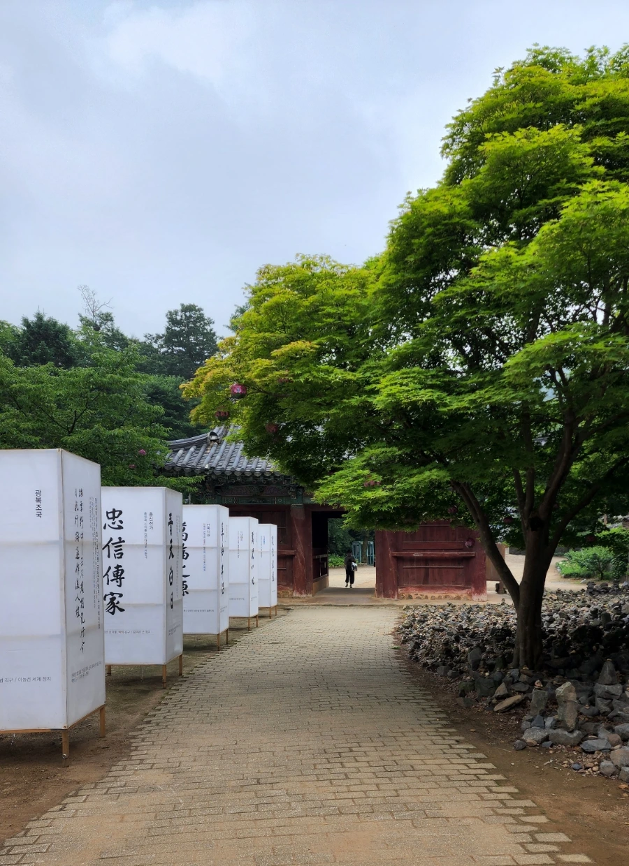 20220625%EF%BC%BF090425.jpg?type=w1