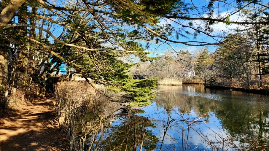 20230208%EF%BC%BF094851.jpg?type=w1