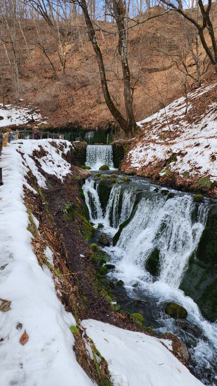 20230208%EF%BC%BF141017.jpg?type=w1