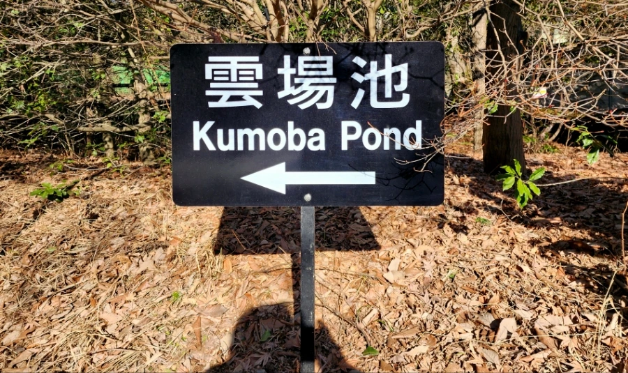 20230208%EF%BC%BF095517.jpg?type=w1