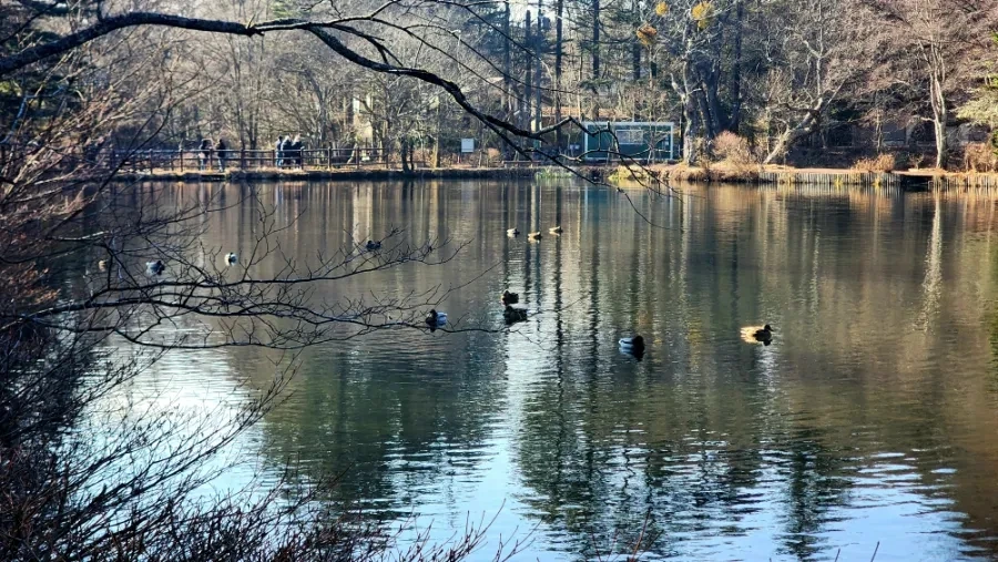 20230208%EF%BC%BF094050.jpg?type=w1