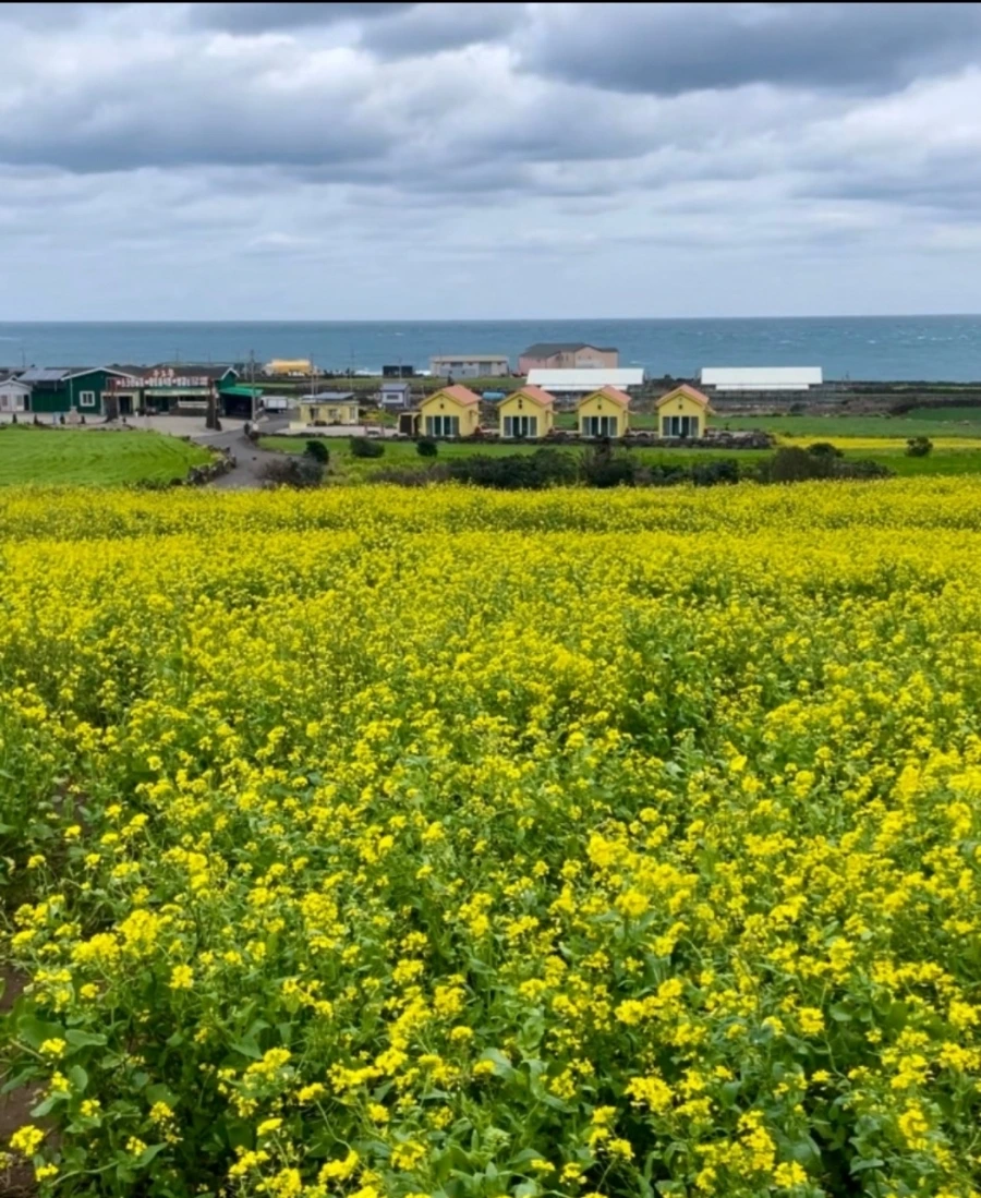 Screenshot%EF%BC%BF20240428%EF%BC%BF105700%EF%BC%BFNAVER.jpg?type=w1