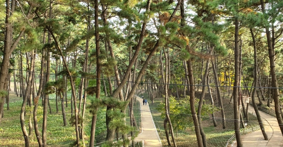 20191101_105420.jpg?type=w1