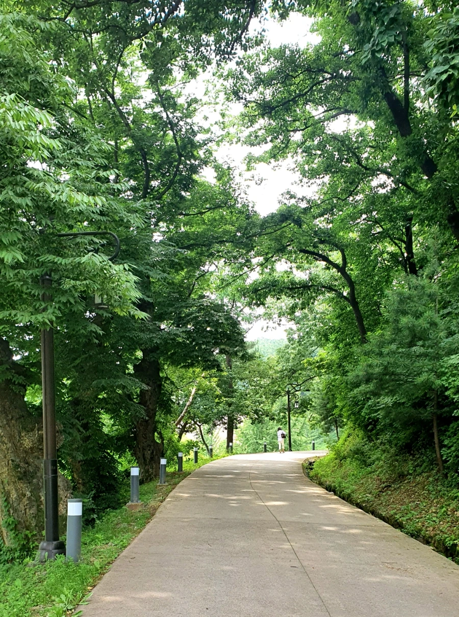 20210622%EF%BC%BF113442.jpg?type=w1