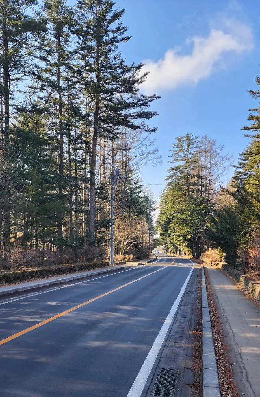 20230208%EF%BC%BF091152.jpg?type=w1