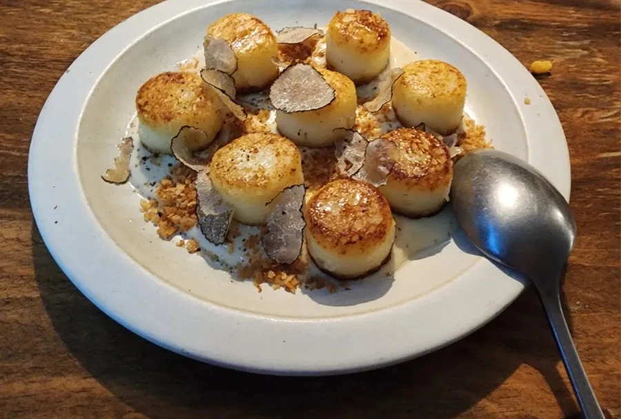 20230721%EF%BC%BF200108.jpg?type=w1