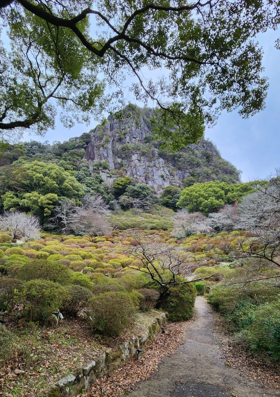 20240202%EF%BC%BF143953.jpg?type=w1