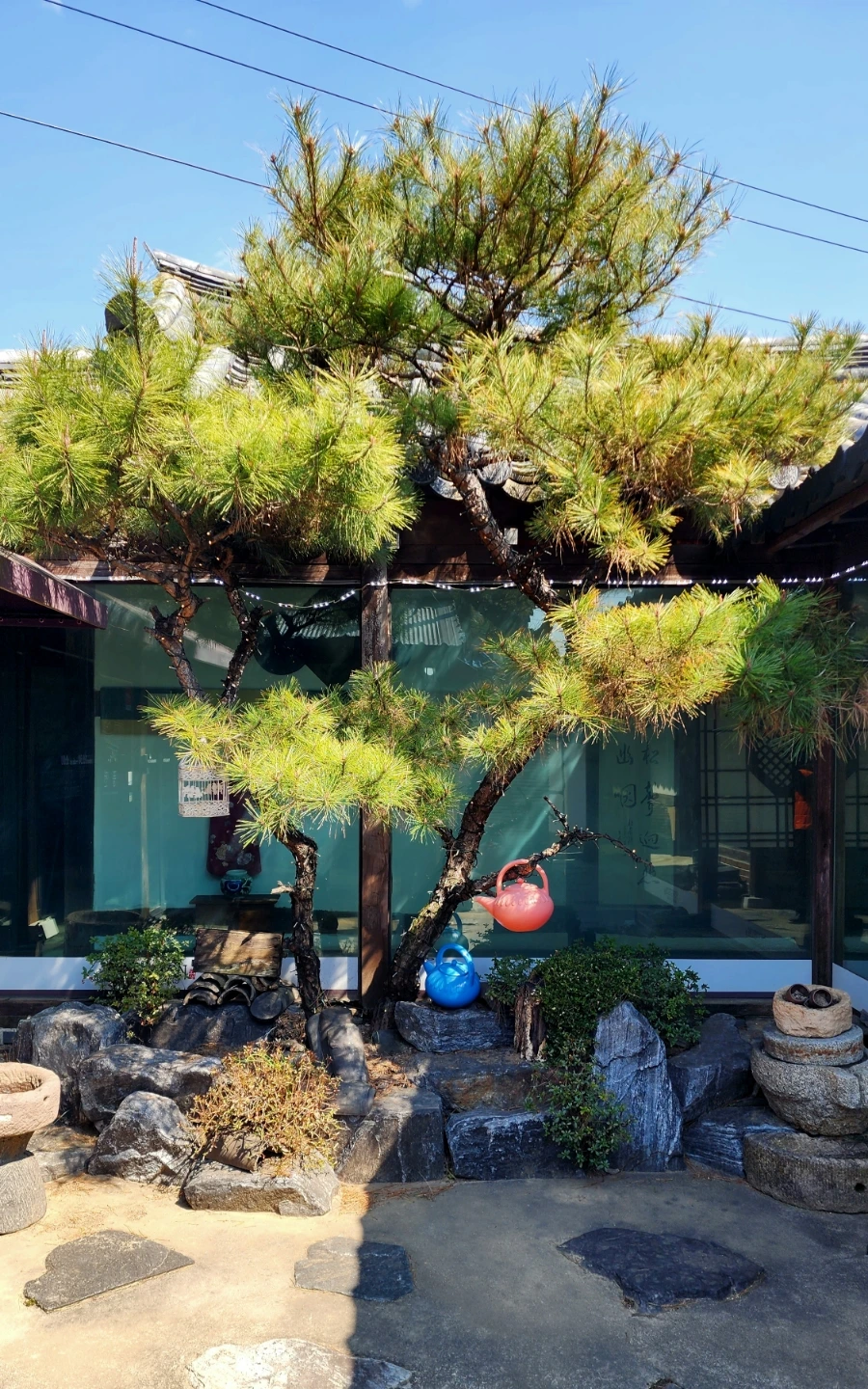 20240321%EF%BC%BF131501.jpg?type=w1