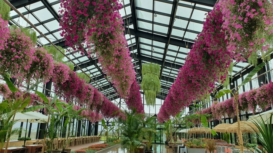 20210706_105858.jpg?type=w1