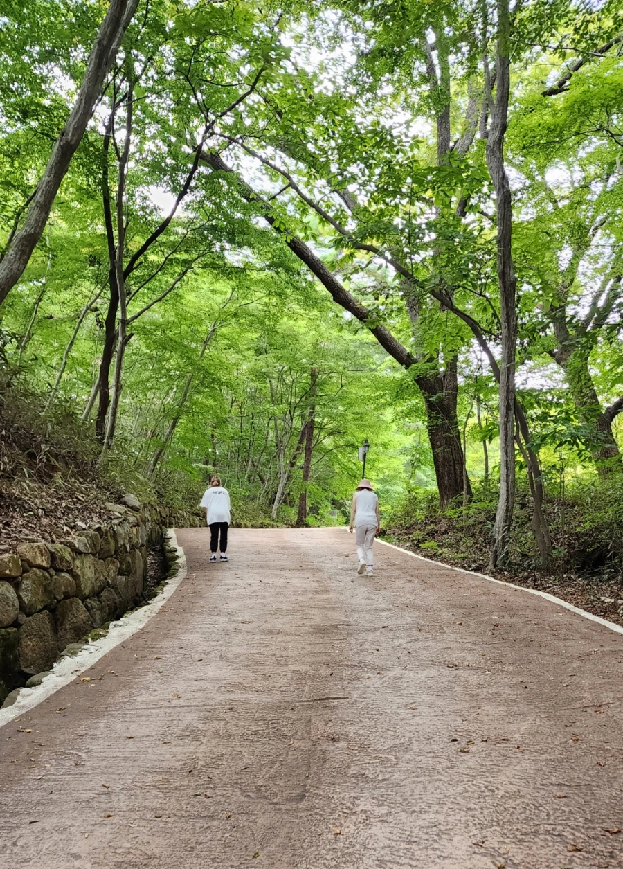 20220917%EF%BC%BF142652.jpg?type=w1