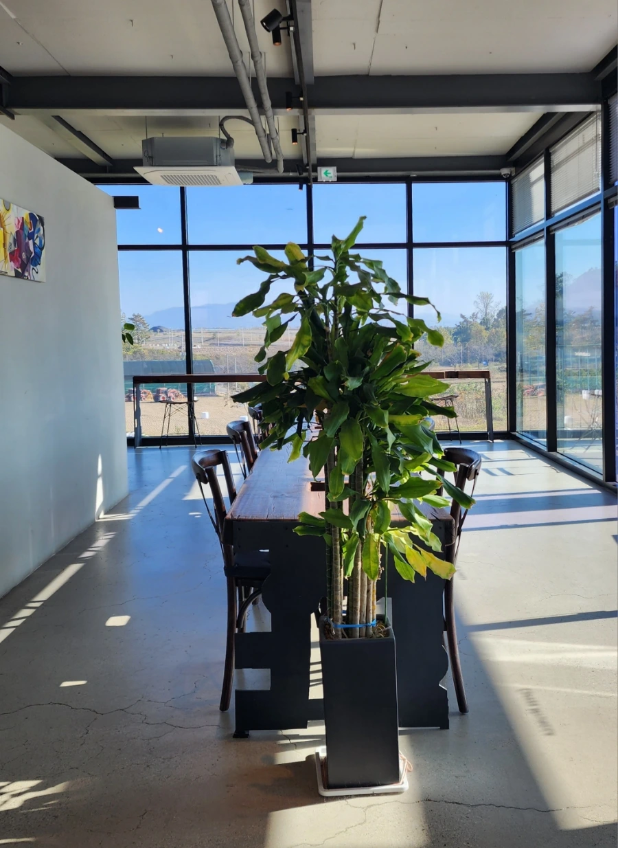 20231031%EF%BC%BF140256.jpg?type=w1