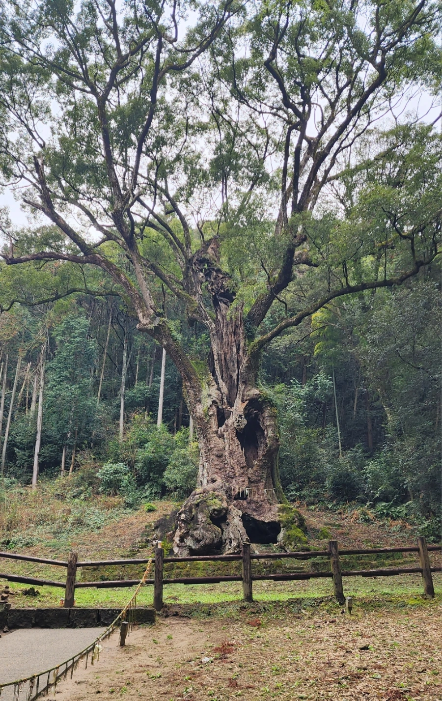 20240202%EF%BC%BF134805.jpg?type=w1