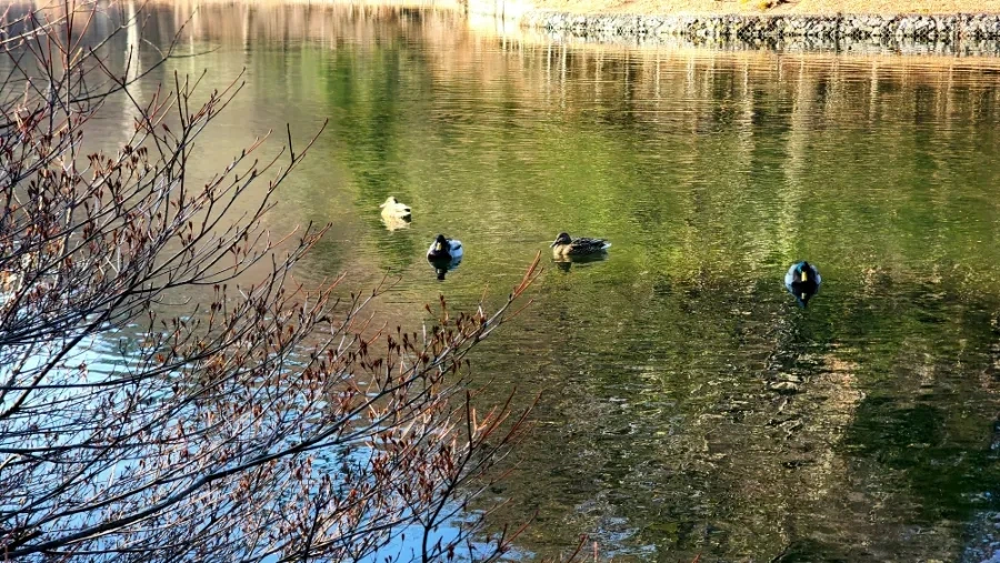 20230208%EF%BC%BF094021.jpg?type=w1