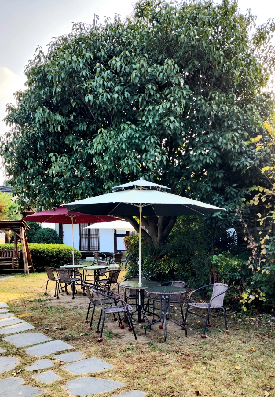 20221101%EF%BC%BF154500.jpg?type=w1