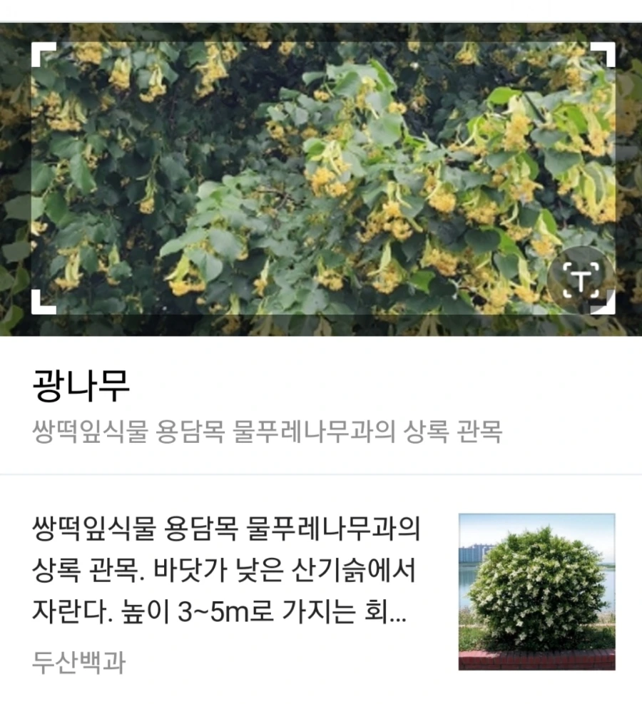 Screenshot%EF%BC%BF20230724%EF%BC%BF005632%EF%BC%BFGallery.jpg?type=w1