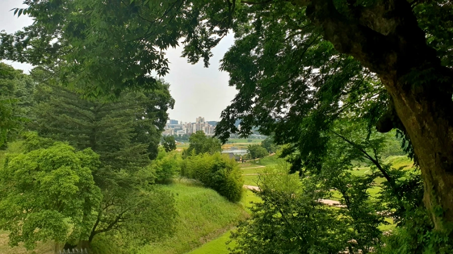 20210622%EF%BC%BF113454.jpg?type=w1