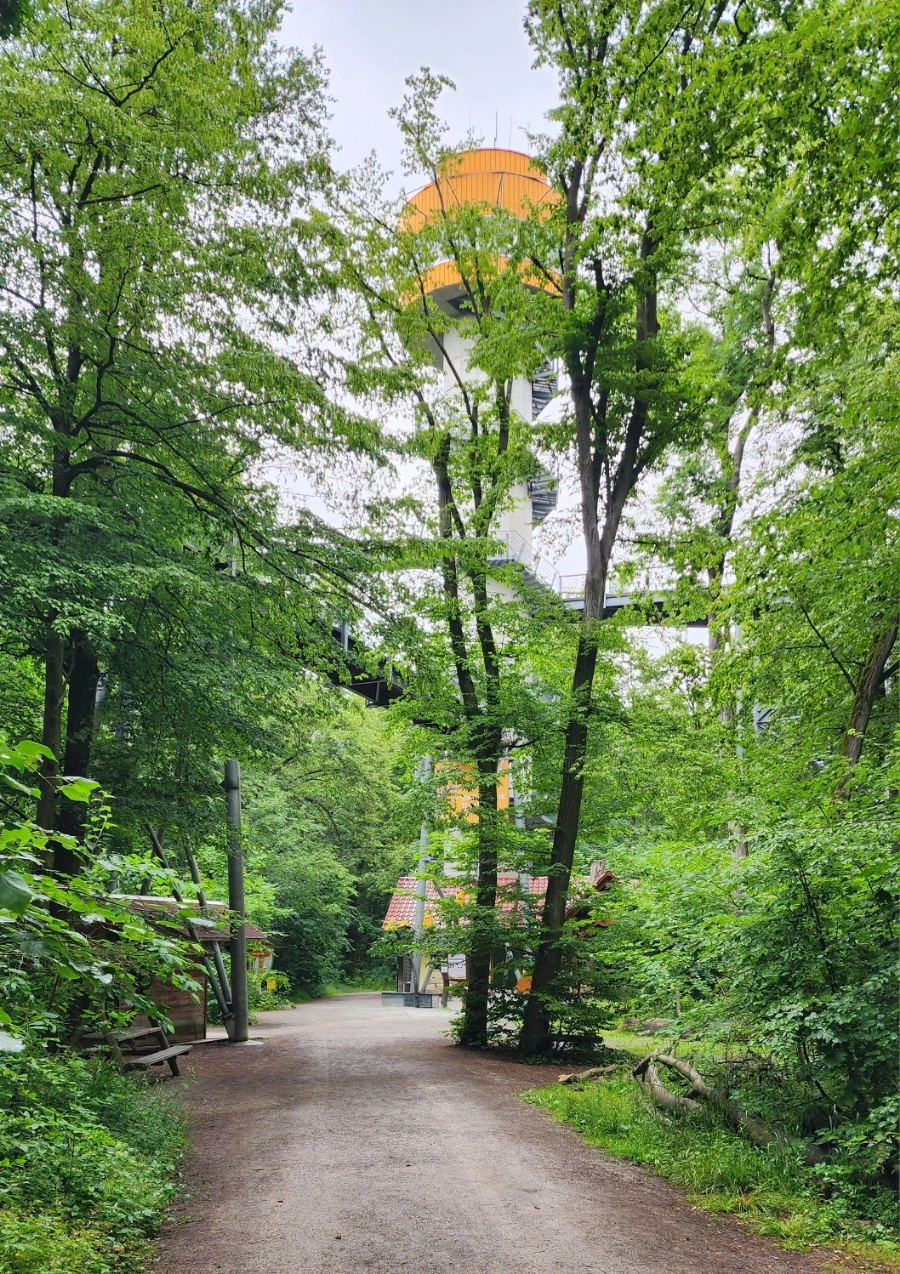 20230630%EF%BC%BF173237.jpg?type=w1