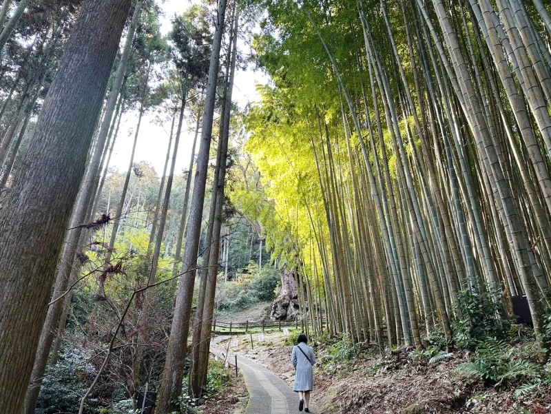 SE%EF%BC%8D95cacfd2%EF%BC%8Dd014%EF%BC%8D4c48%EF%BC%8D9ee3%EF%BC%8D946f5200213d.jpg?type=w1