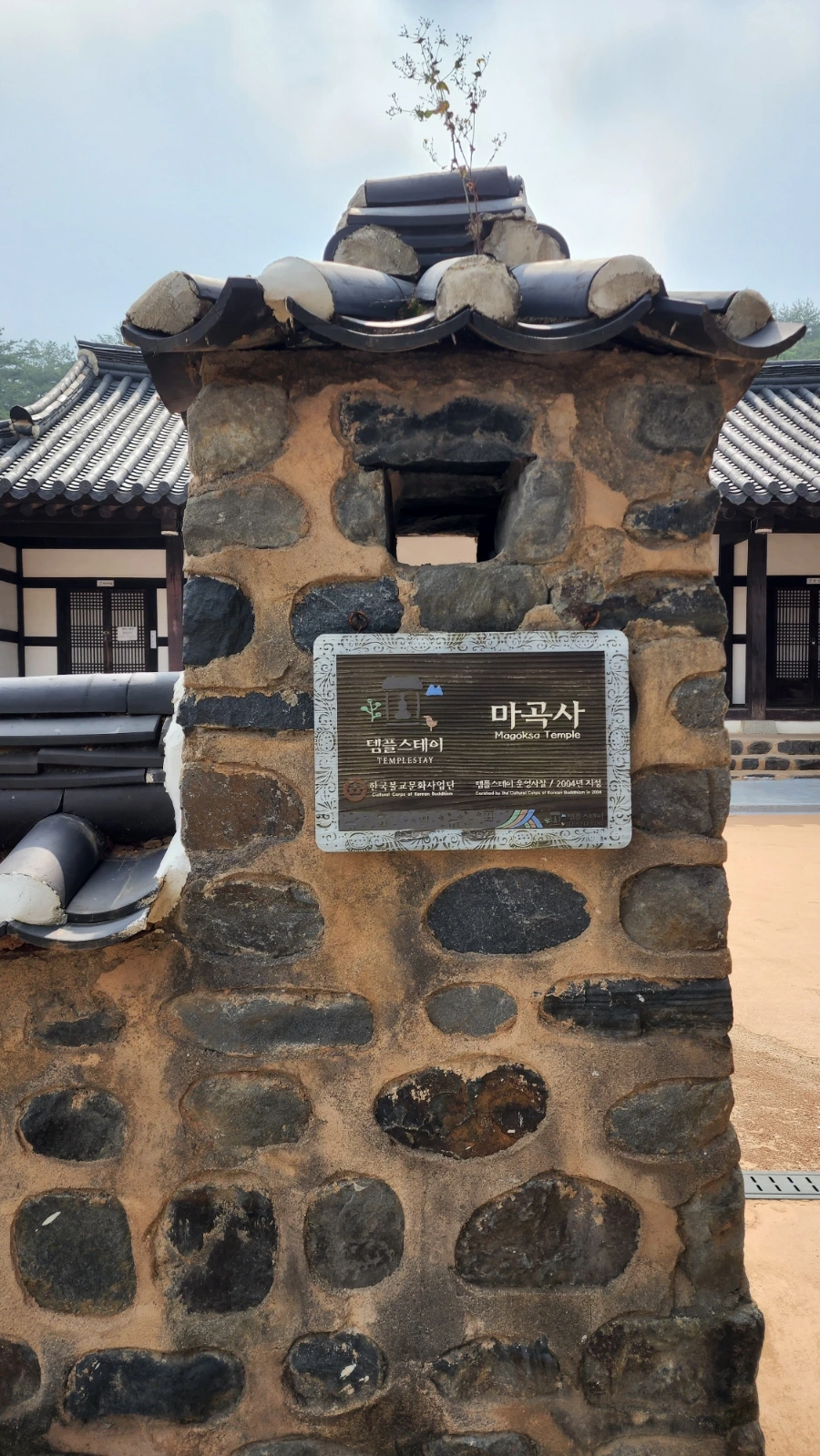 20220625%EF%BC%BF093801.jpg?type=w1