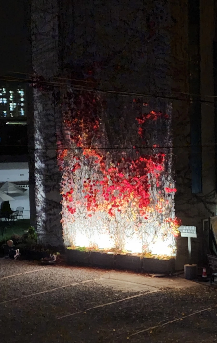 20221109%EF%BC%BF184143.jpg?type=w1