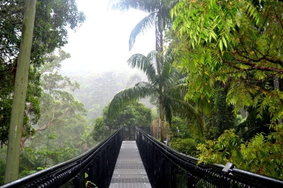 20191104_163235.jpg?type=w1