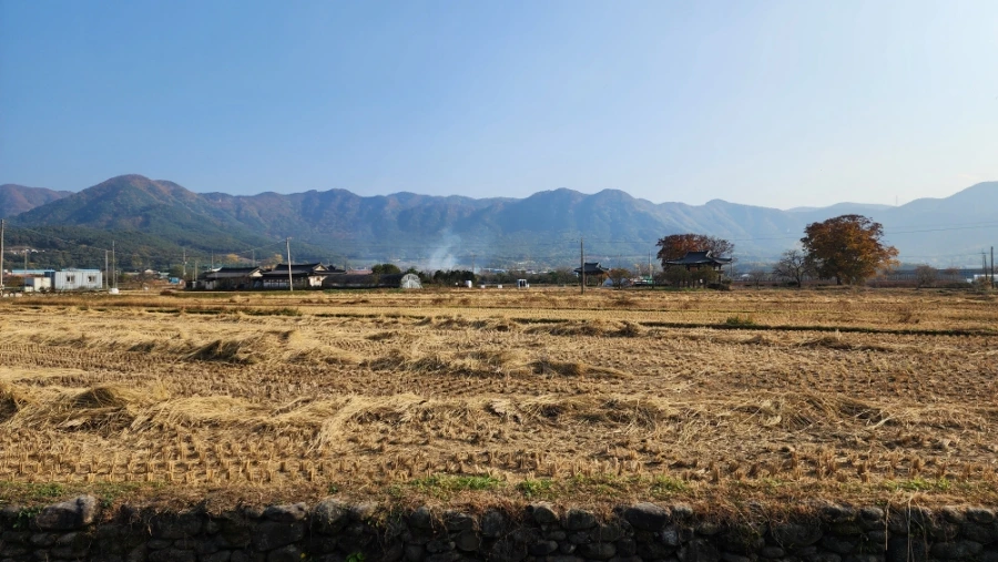 20221101%EF%BC%BF150453.jpg?type=w1